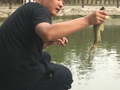 -酷鱼垂钓CLUB(朝阳区博大路店 )