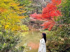 -中国茶叶博物馆(双峰馆区)