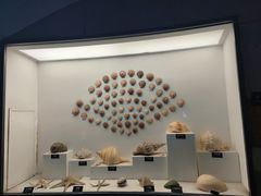 -泉城欧乐堡海洋极地世界