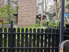 -星巴克(杭州北山路店)