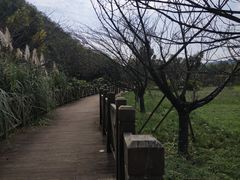 -贵阳市花溪国家城市湿地公园