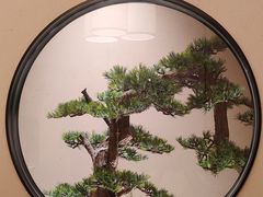 -觅唐MITONG(鸟巢店)