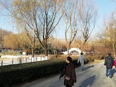 -康庄公园