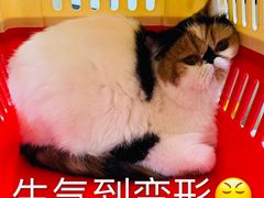 -天时宠物医院24小时疑难病例会诊中心(顾乡大街总院)