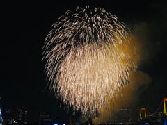 -台场海滨公园船码头