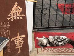 -华春餐馆(鱼山路店)