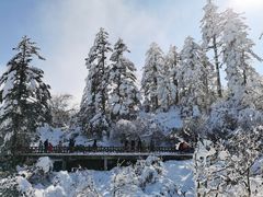 -瓦屋山景区