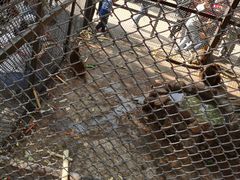 -长白岛森林公园