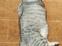 -H立方实景剧情密室(天河旗舰店)