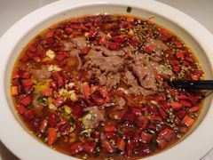 滑水牛肉-刘胖子家常菜·蹄花焖藕(兴业店)