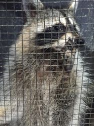 -酷嗒动物文化乐园(cutezoo西溪乐天城店)