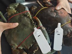 -Ministry of Crab•MOC(交子大道店)