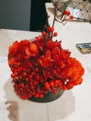 -南京医科大学友谊整形外科医院