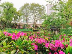 -静安公园(静安寺街道)