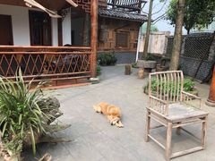 -青城甲(青城山店)