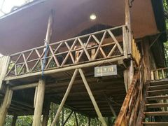 -天门沟九州驿站树上汤泉