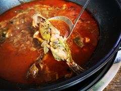 -小小河边鱼·黄辣丁鲜鱼锅(黎阳店)