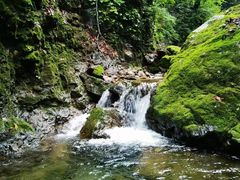 -本溪汤沟绿石谷森林公园