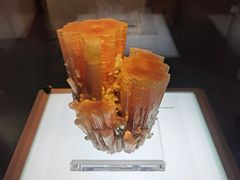 -安徽省地质博物馆