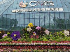 -花之城