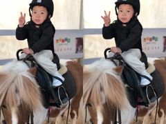 -金宝贝早教&托育(新百CCpark中心)