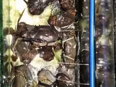 -Isla Sugbu Seafood City