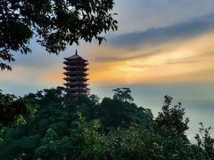 -缙云山景区