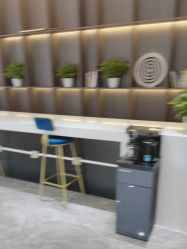 -碧莲盛·不剃发植发