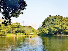 -晓港公园