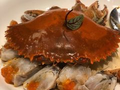 醉膏蟹-伯衡55·吉品轩(乌鲁木齐南路店)