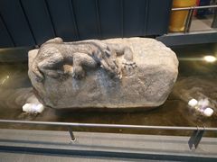 -单家老院·院子里的青岛菜(沙子口店)