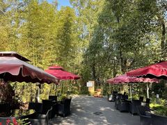 -西郊宾馆·1921餐厅