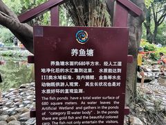 -成都市活水公园