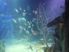 -沈阳海洋探索中心