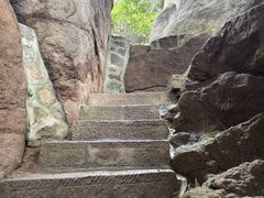 -鲁山国家森林公园