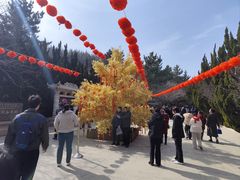 -石岛赤山风景区