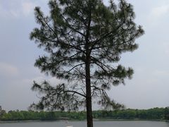 -美兰湖景区