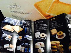 -关西国际机场直营免税店