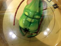 -上海昆虫博物馆