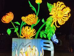 -祥源·阜阳生态乐园