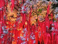 -杭州黄龙洞