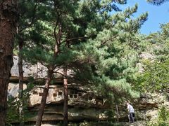 -无染寺