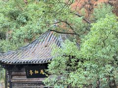 -东湖落雁景区