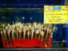-蚝专家(北滘店)