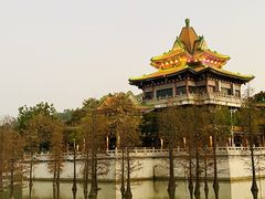 -顺峰山公园