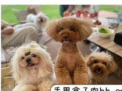 -不觉晓CAMPING(上海迪士尼营地店)