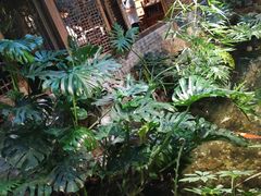 -聚缘堂·海鲜私房菜(松岭路店)