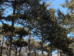 -长春市南湖公园