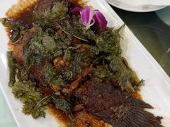 -瑞福园联谊餐室(茂名南路店)