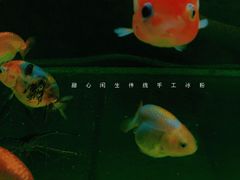 -甜心闲生传统手工冰粉(奎星楼店)